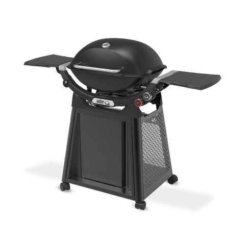 Weber Q 3200N+